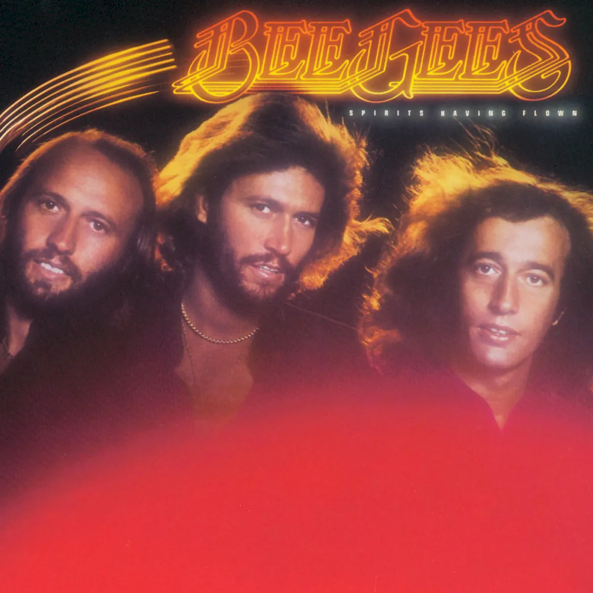 Cover of Spirits Having Flown