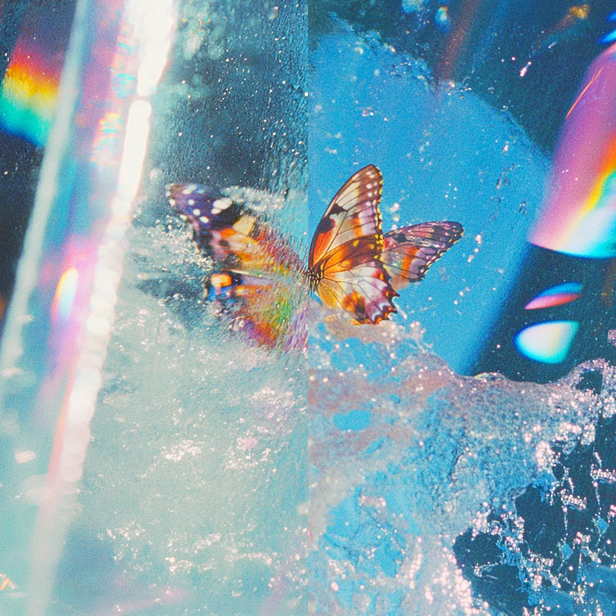 Obal albumu Butterfly