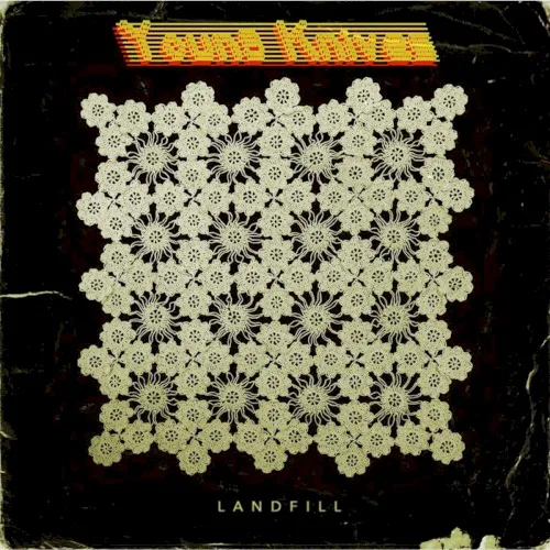Cover of Young Knives – Landfill