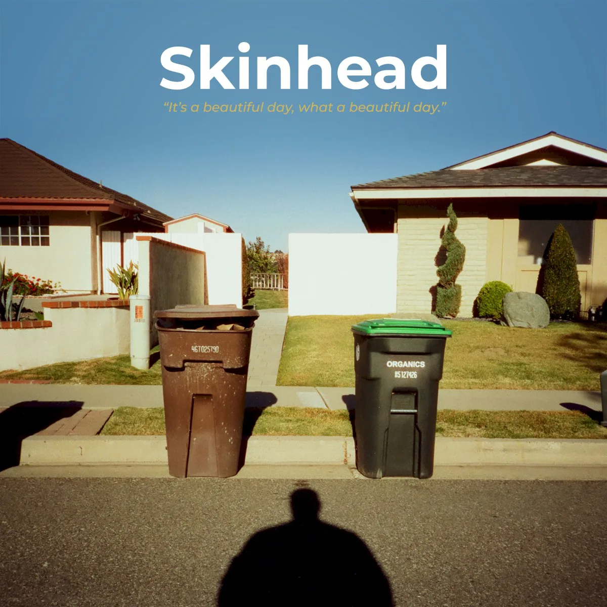 Obal alba Skinhead – It’s a Beautiful Day, What a Beautiful Day