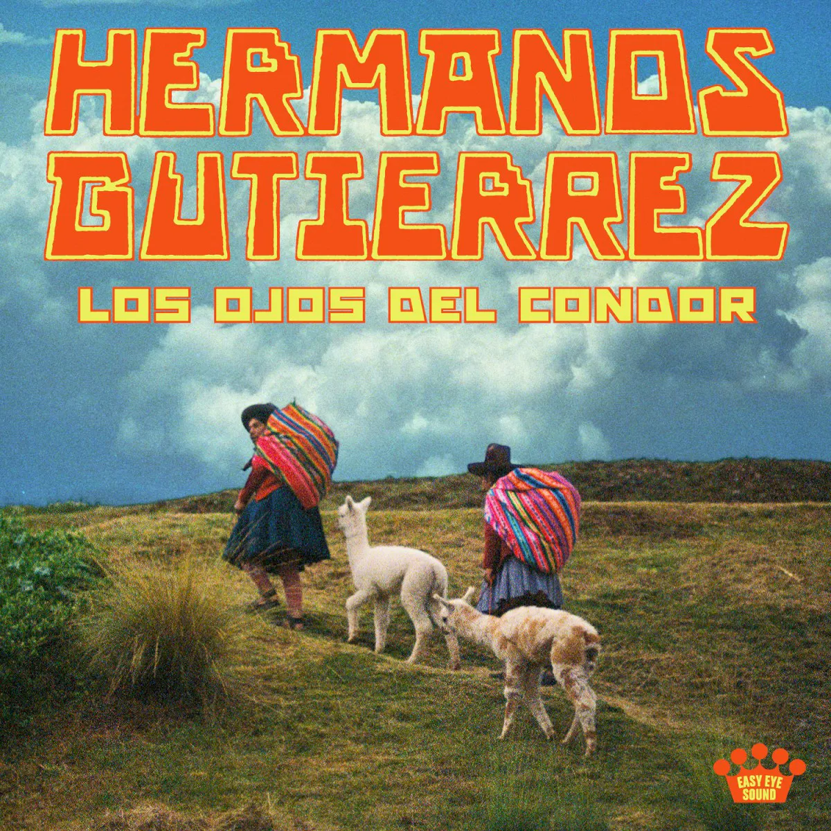 Cover of Los Ojos Del Cóndor