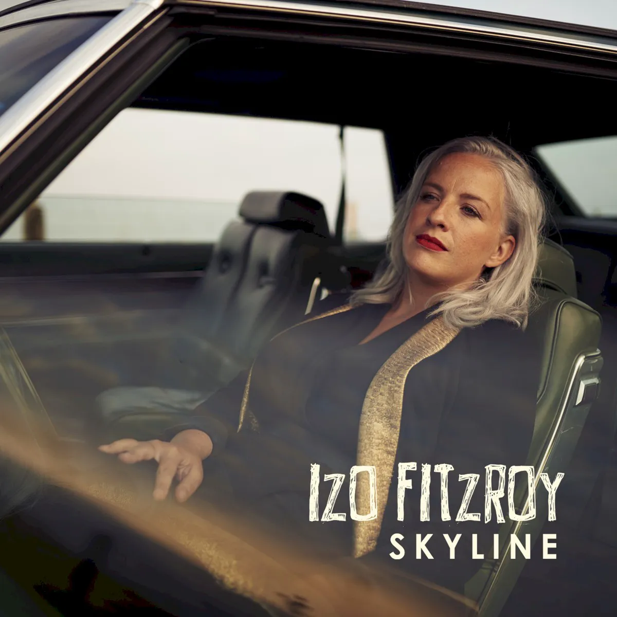Cover of Skyline