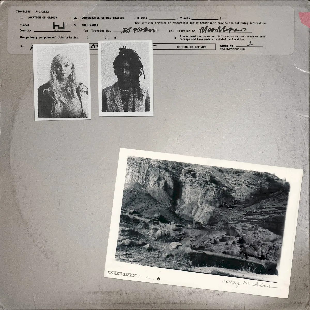 Cover of 700 Bliss – Nothing to Declare