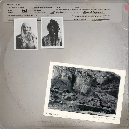 Cover of 700 Bliss – Nothing to Declare
