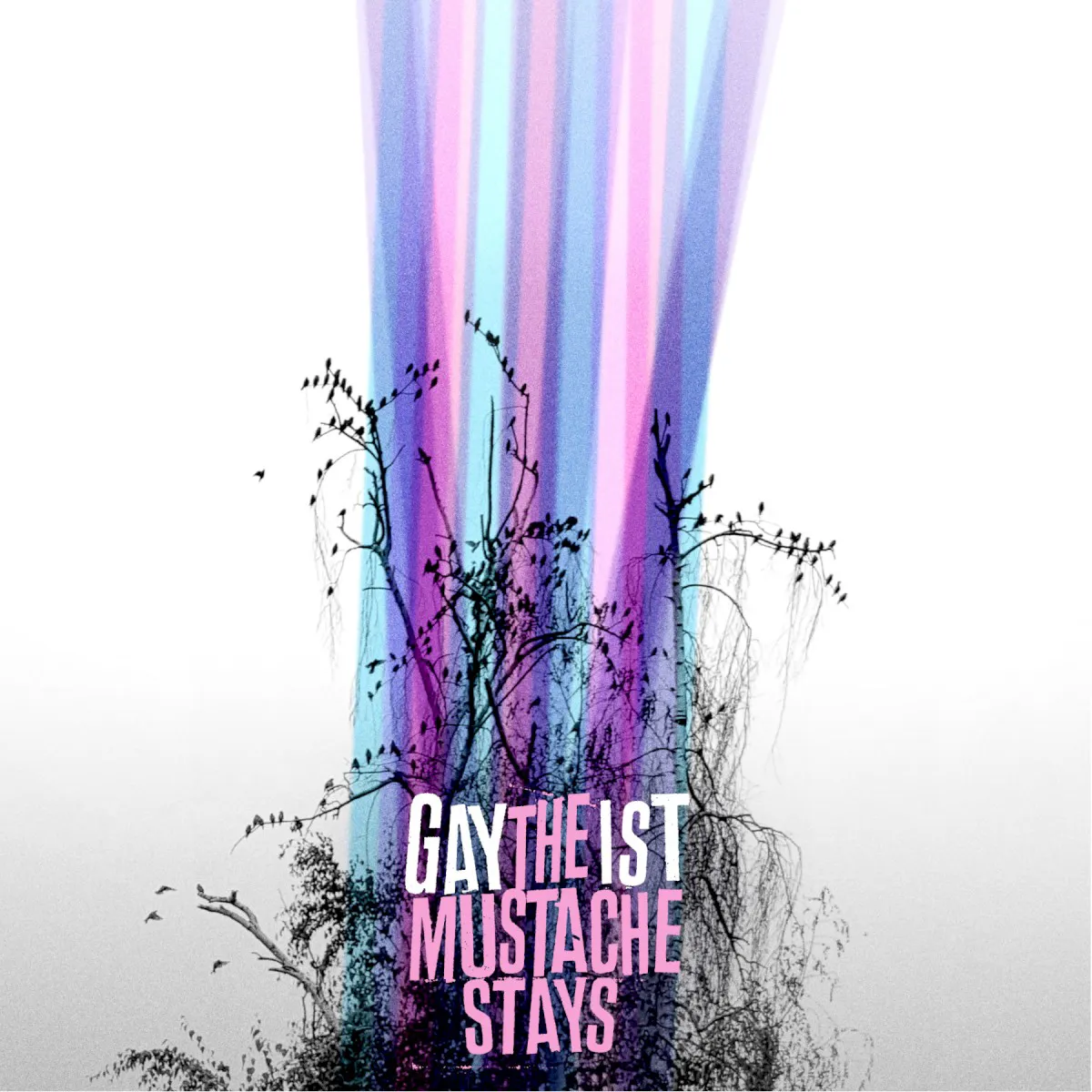 Obal alba Gaytheist – The Mustache Stays
