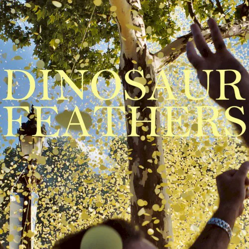 Cover of Dinosaur Feathers – Whistle Tips