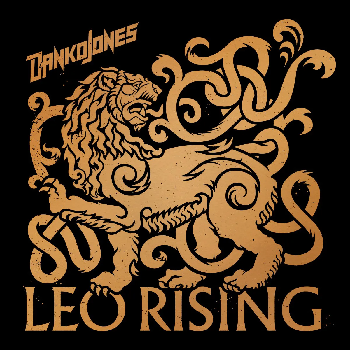 Obal alba Leo Rising