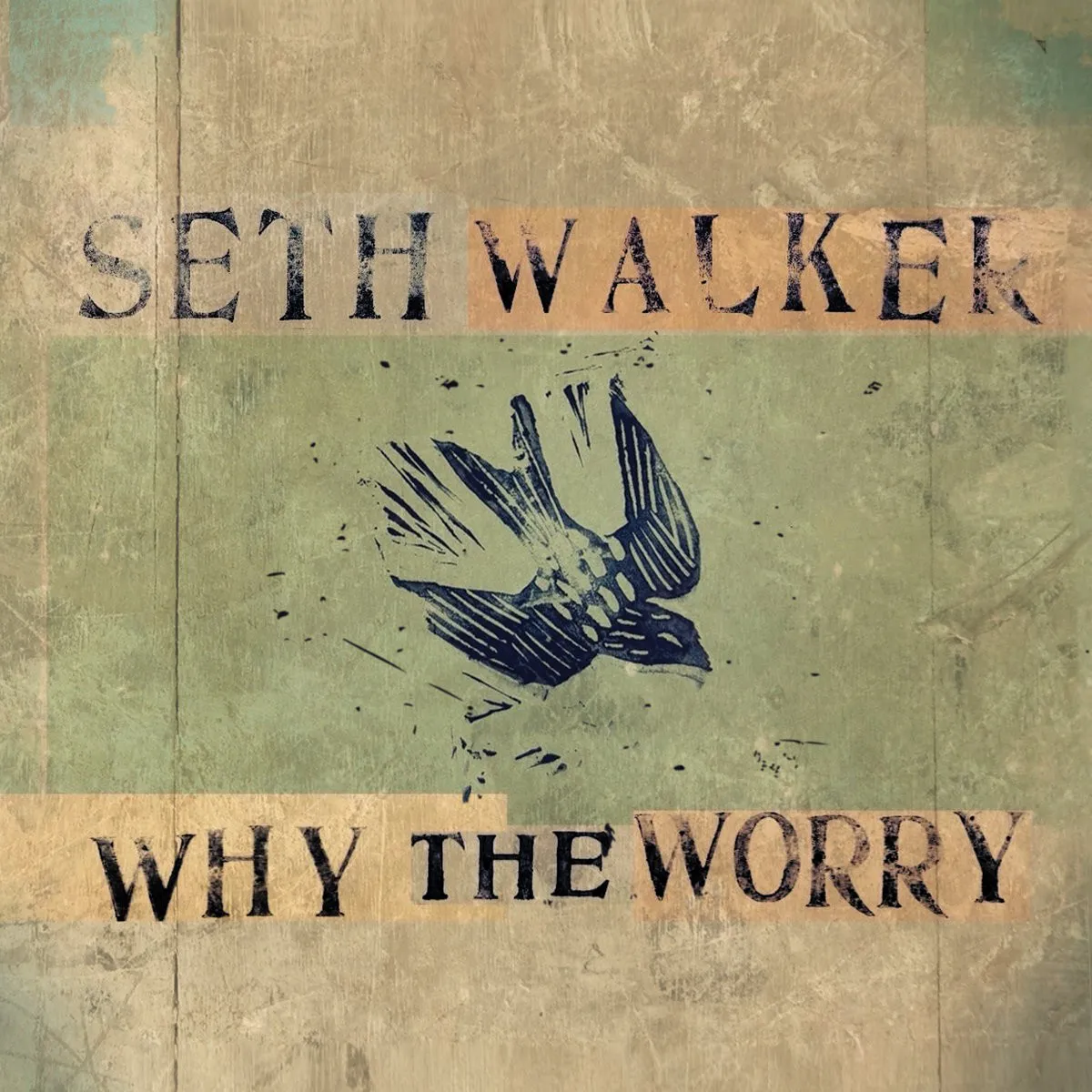 Cover of Why The Worry