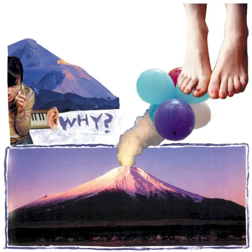 Cover of WHY? – Elephant Eyelash