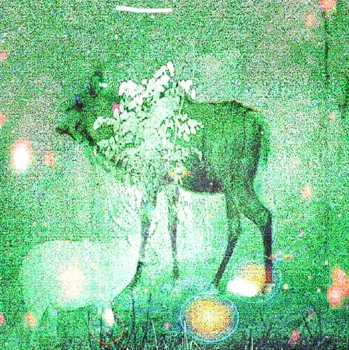 Cover of Ghost Lemurs of Madagascar – Wombs and Alien Spirits
