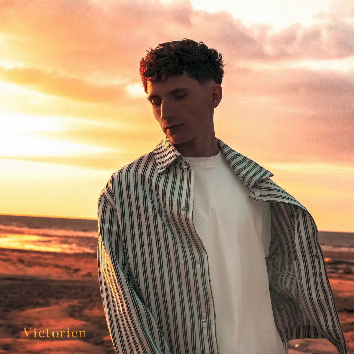 Cover of Victorien – Il faudra le faire
