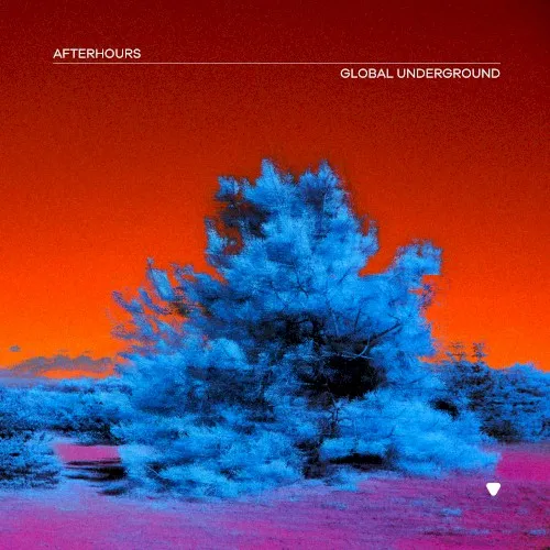 Cover of Various Artists – Global Underground: Afterhours 9