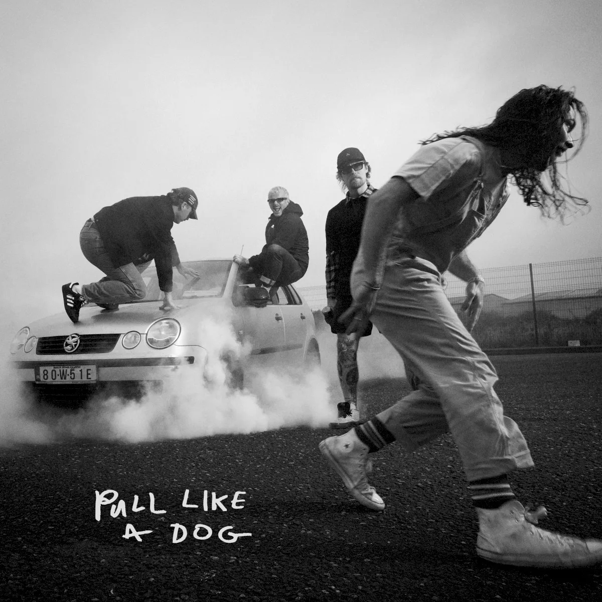Cover of Pull Like a Dog
