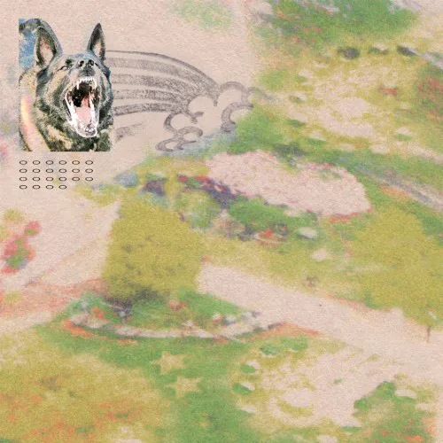 Cover of feeble little horse – Girl With Fish