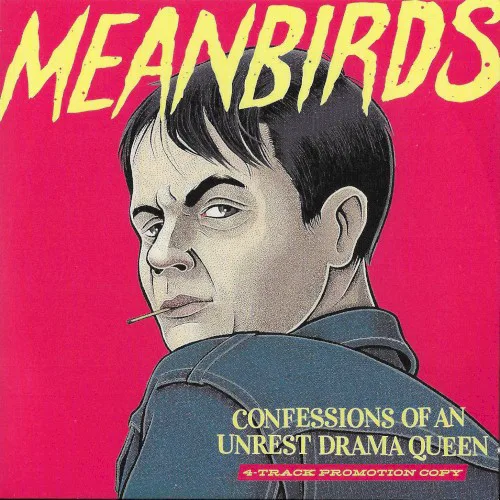 Meanbirds
