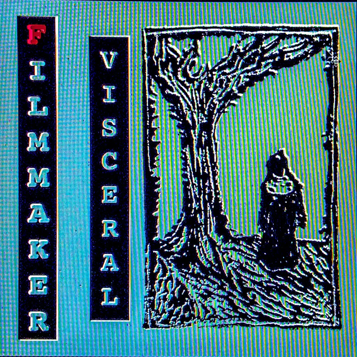 Cover of Filmmaker – Visceral