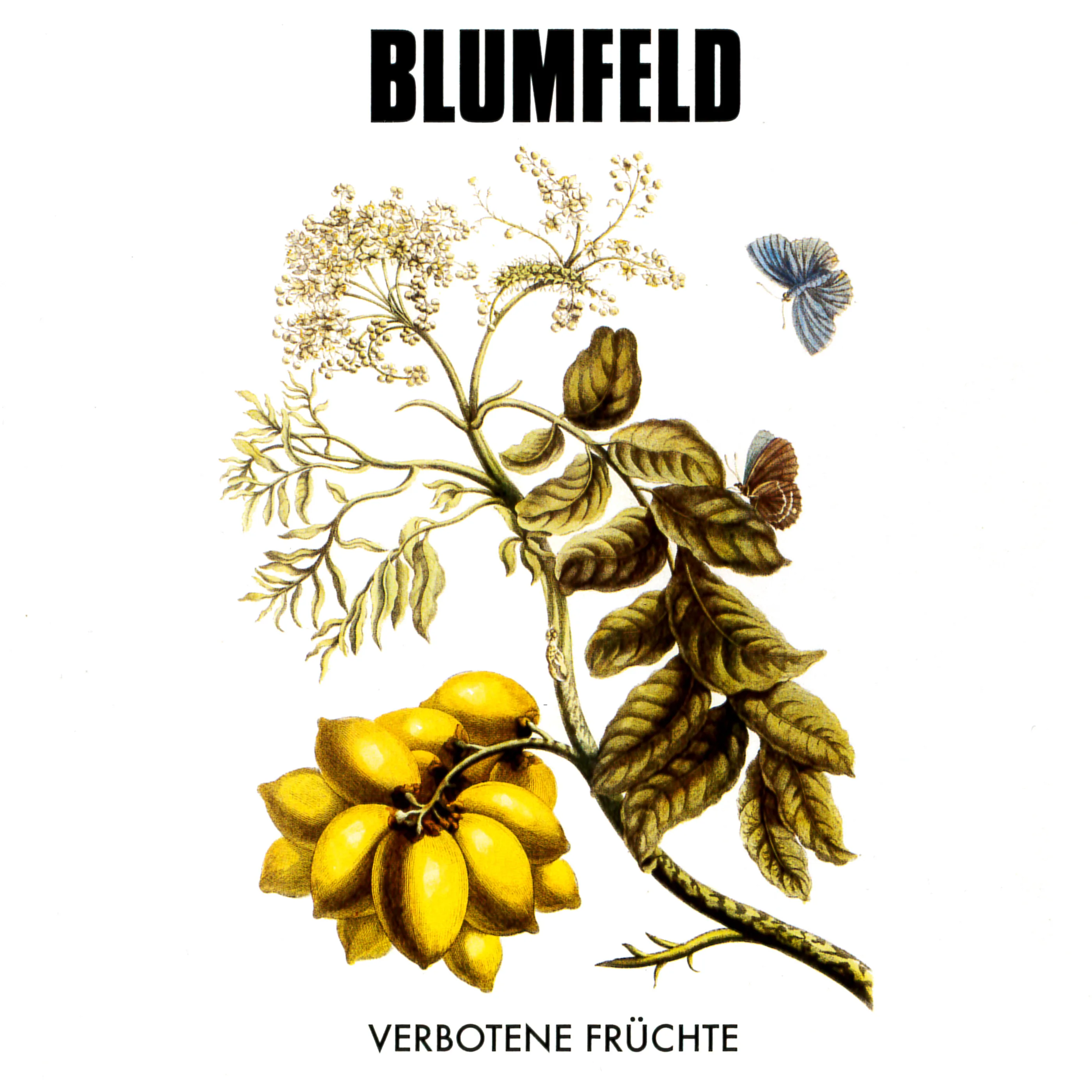 Cover of Blumfeld – Verbotene Früchte
