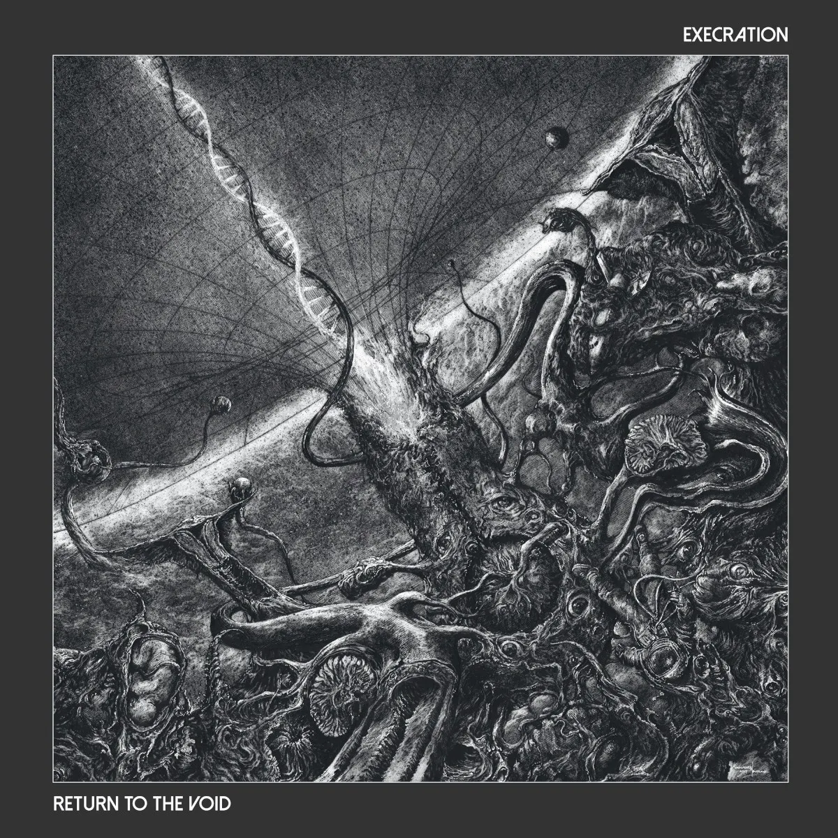 Cover of Return to the Void