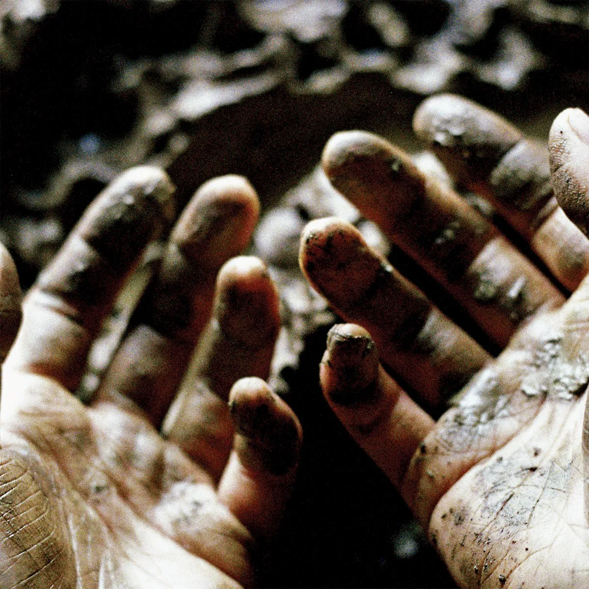 Cover of Dis Fig – What to Make of These Mortal Hands
