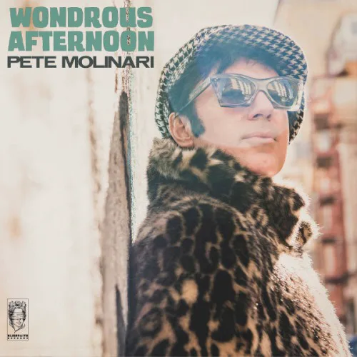 Cover of Pete Molinari – Wondrous Afternoon