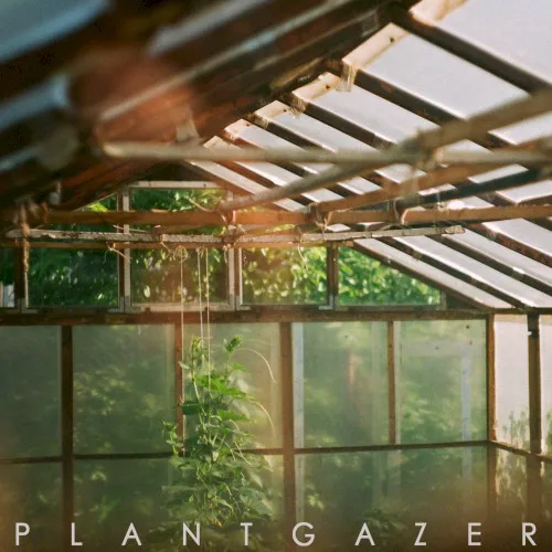 Cover of Show Me a Dinosaur – Plantgazer