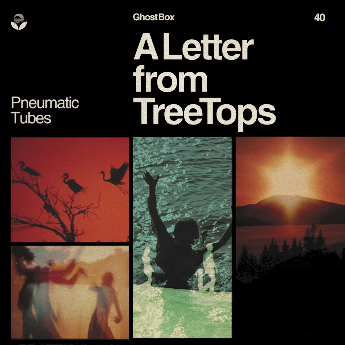 Obal alba A Letter from TreeTops