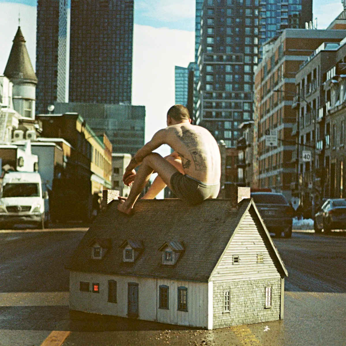 Cover of The weathervane is my body