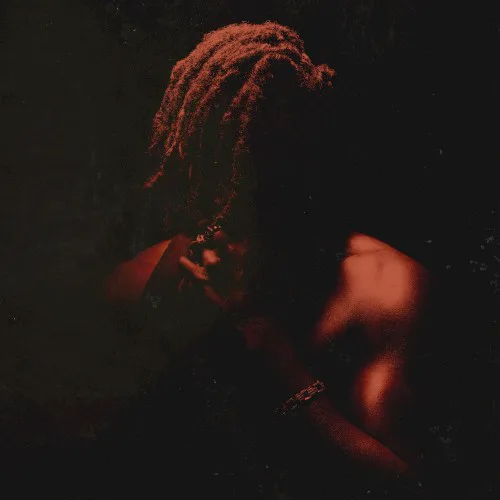 Cover of Flying Lotus – Spirit Box