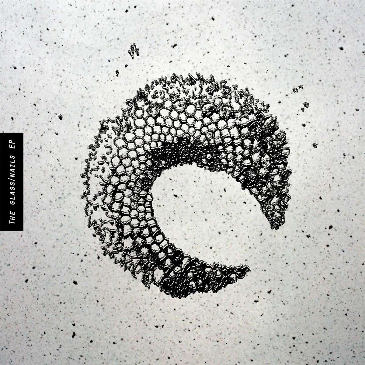 Cover of we.own.the.sky – The Glass/Nails