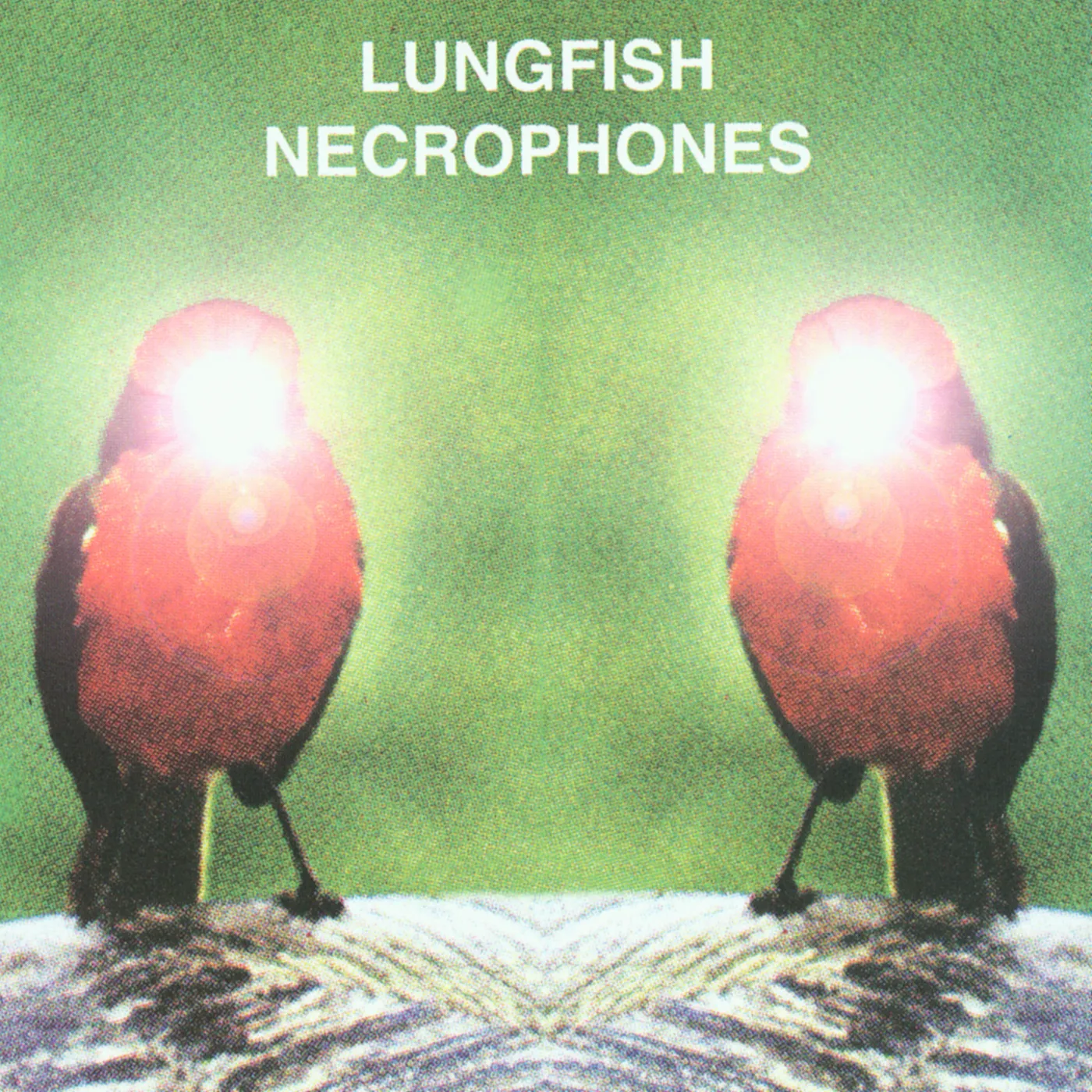 Obal albumu Necrophones