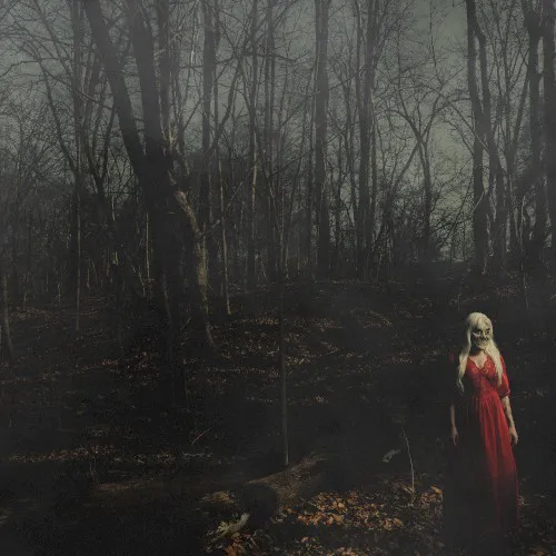 Obal alba 156/Silence – From a Distance