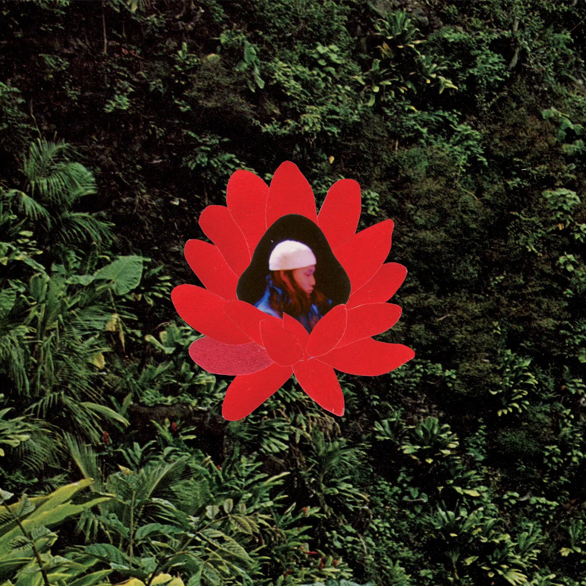 Obal alba Lionmilk – When The Flowers Bloom