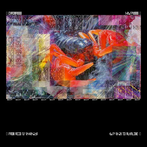 Cover of Bicep – CHROMA 000