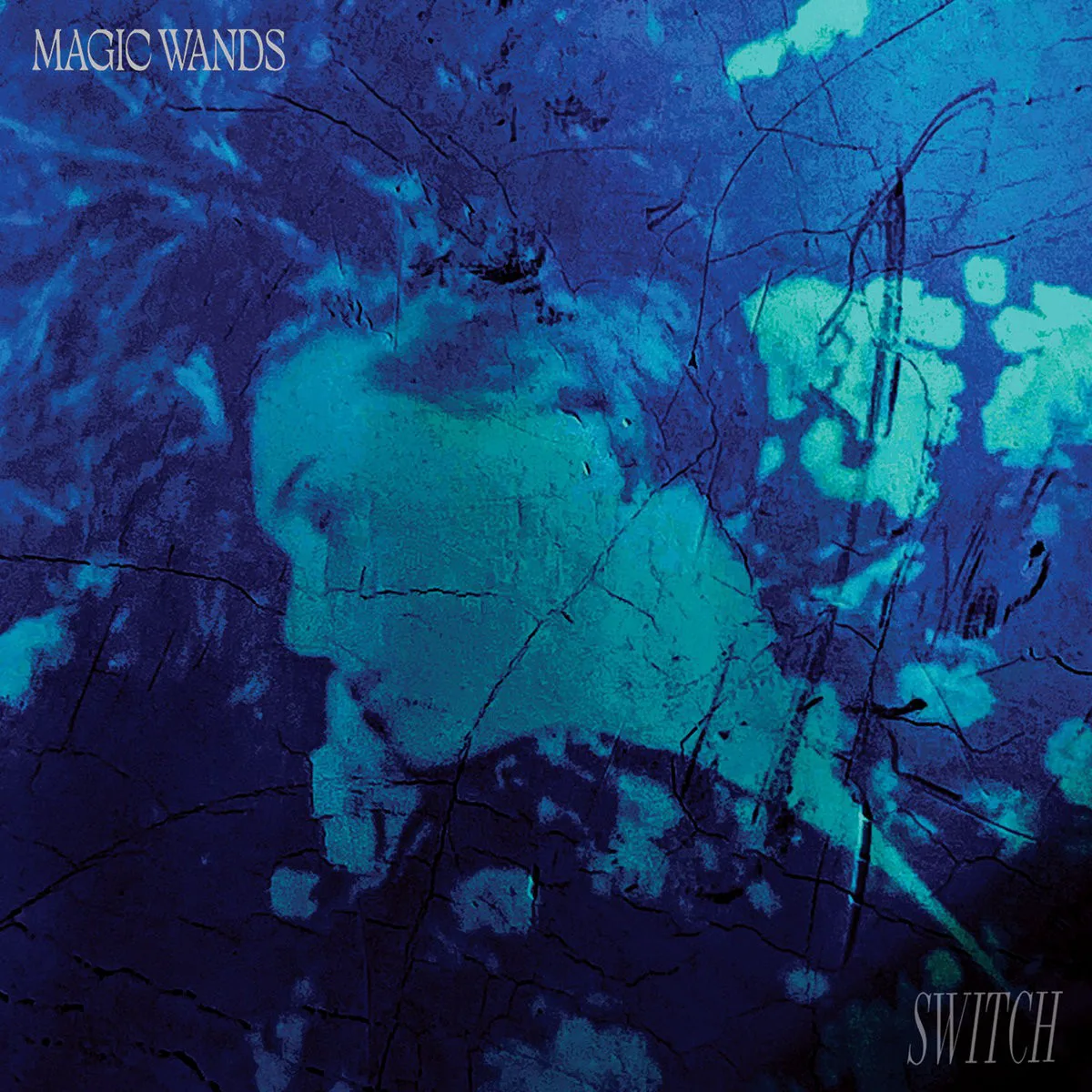Obal alba Magic Wands – Switch