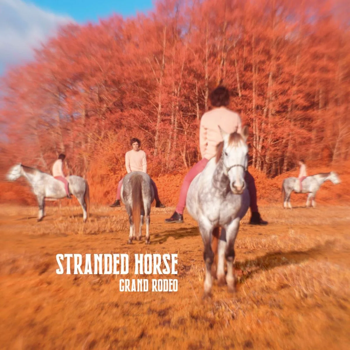Cover of Stranded Horse – Grand Rodeo