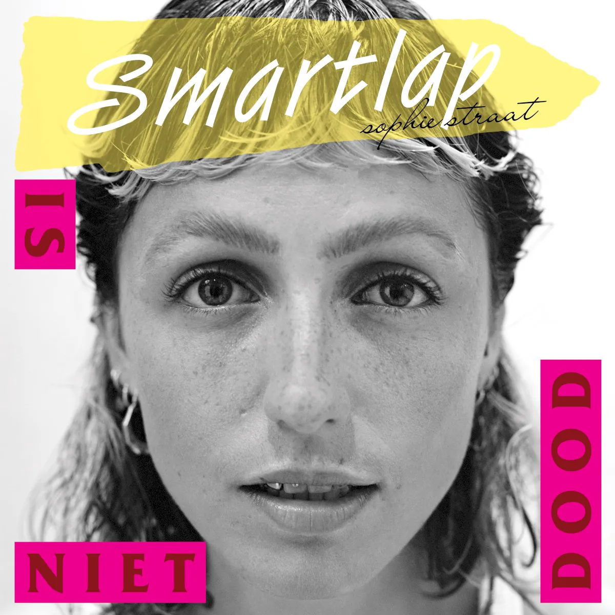 Cover of Sophie Straat – Smartlap is niet dood