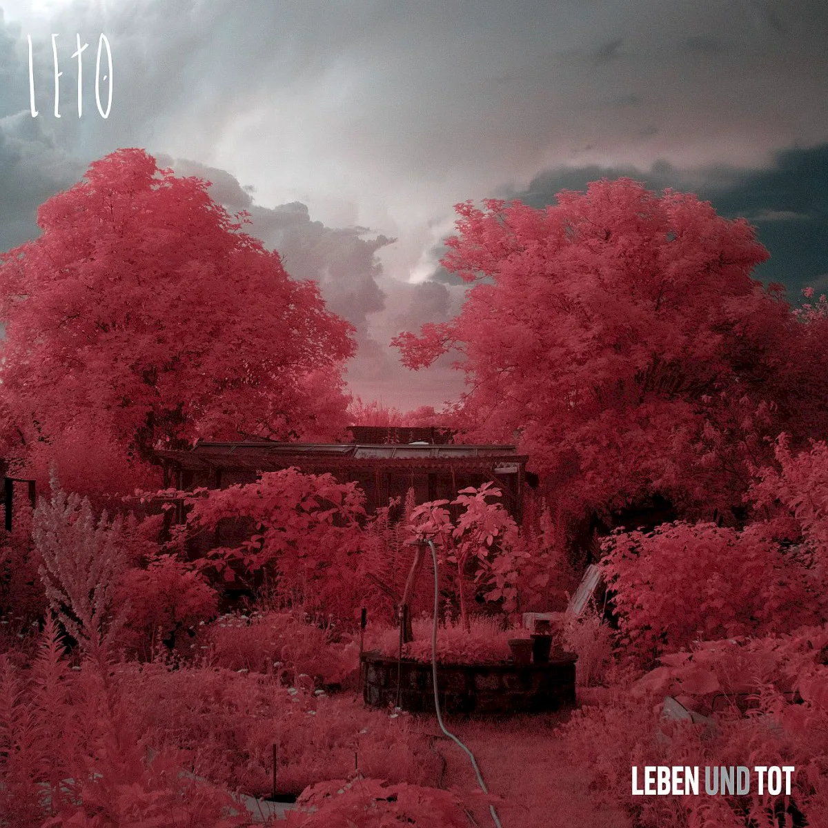 Cover of Leto – Leben und tot