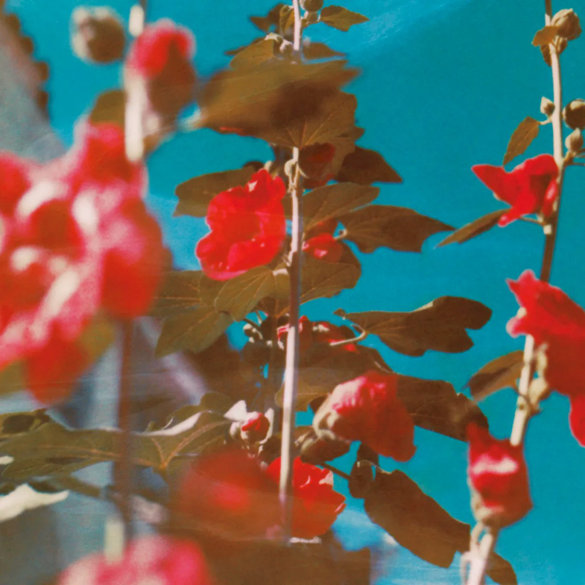 Obal alba Chad Lawson – Breathe