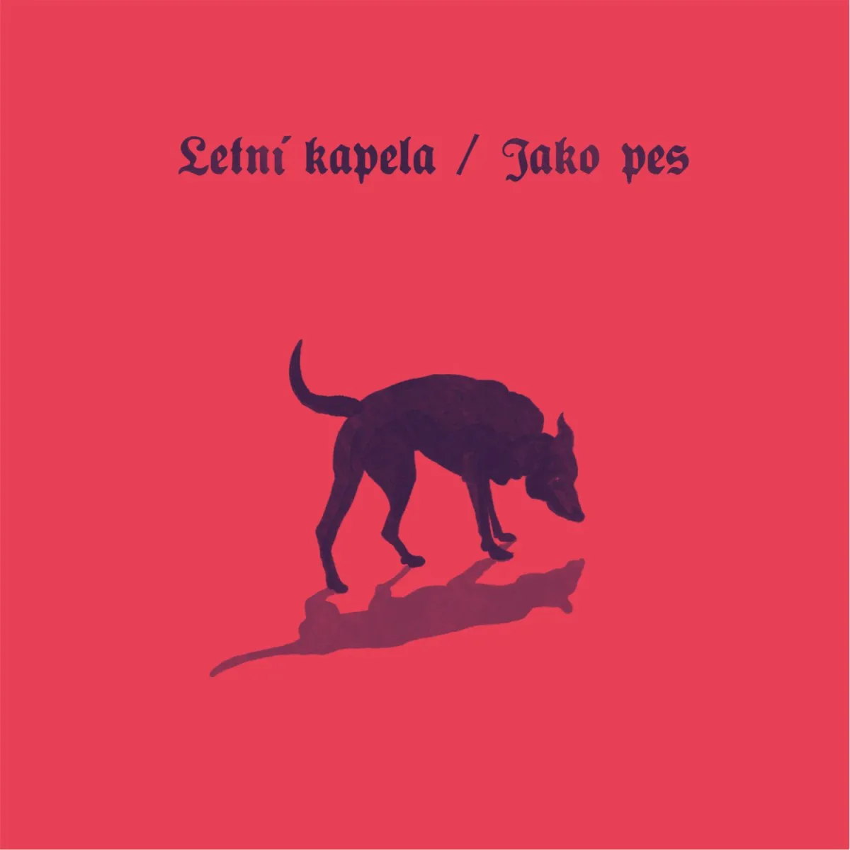 Obal albumu Jako pes
