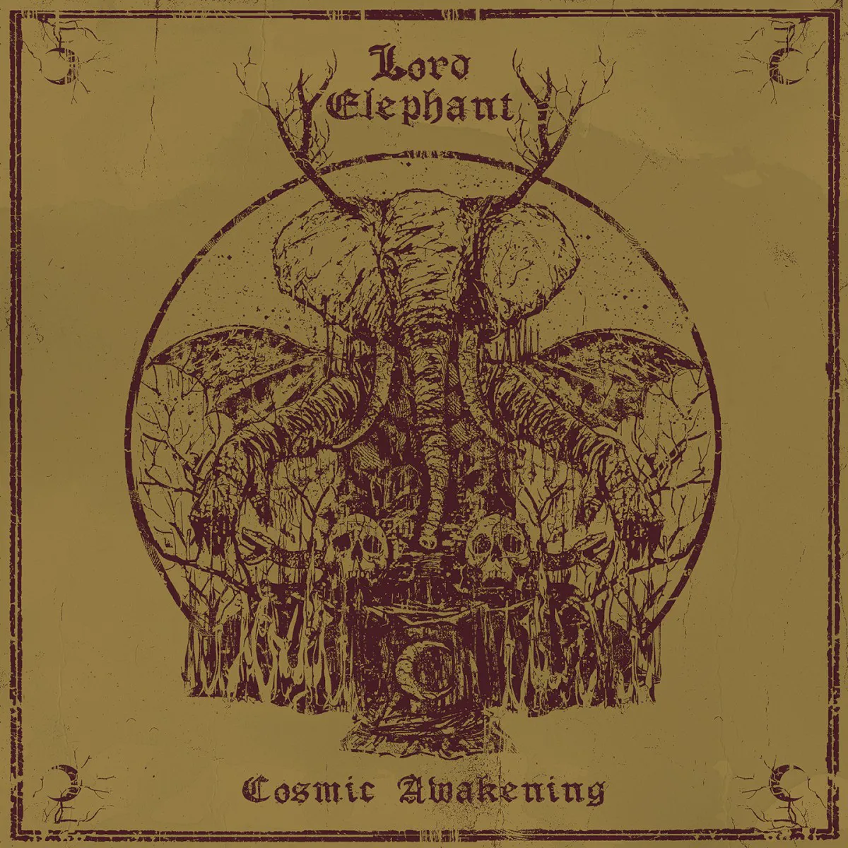 Obal albumu Cosmic Awakening