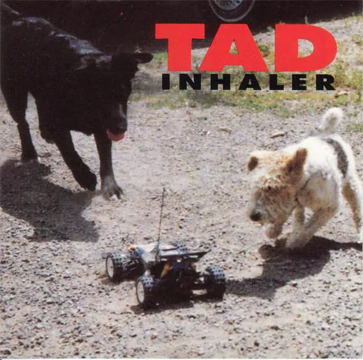 Obal alba Inhaler