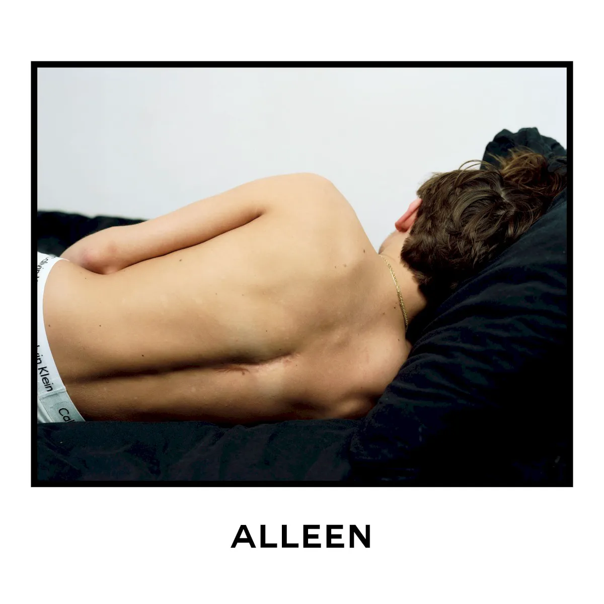 Cover of Alleen