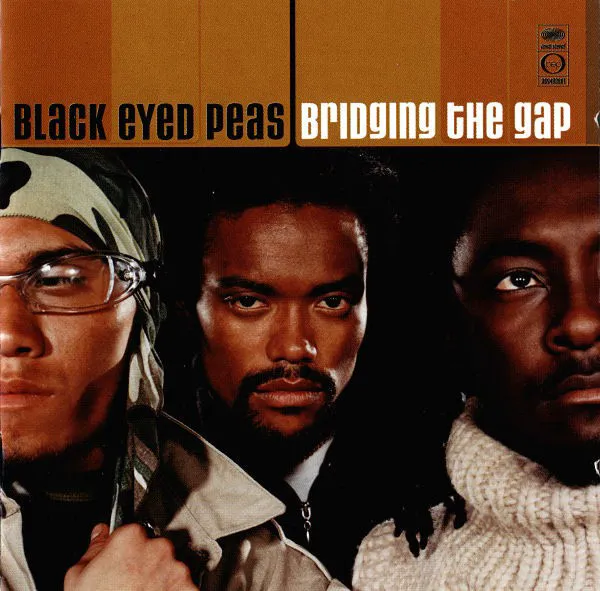 Cover of Bridging the Gap