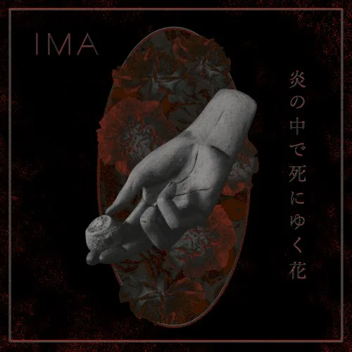 IMA