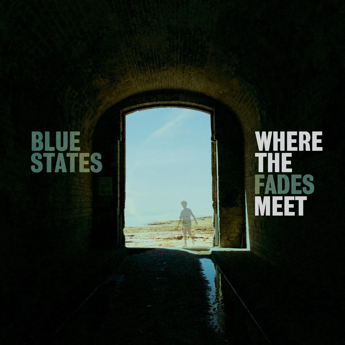 Cover of Where the Fades Meet