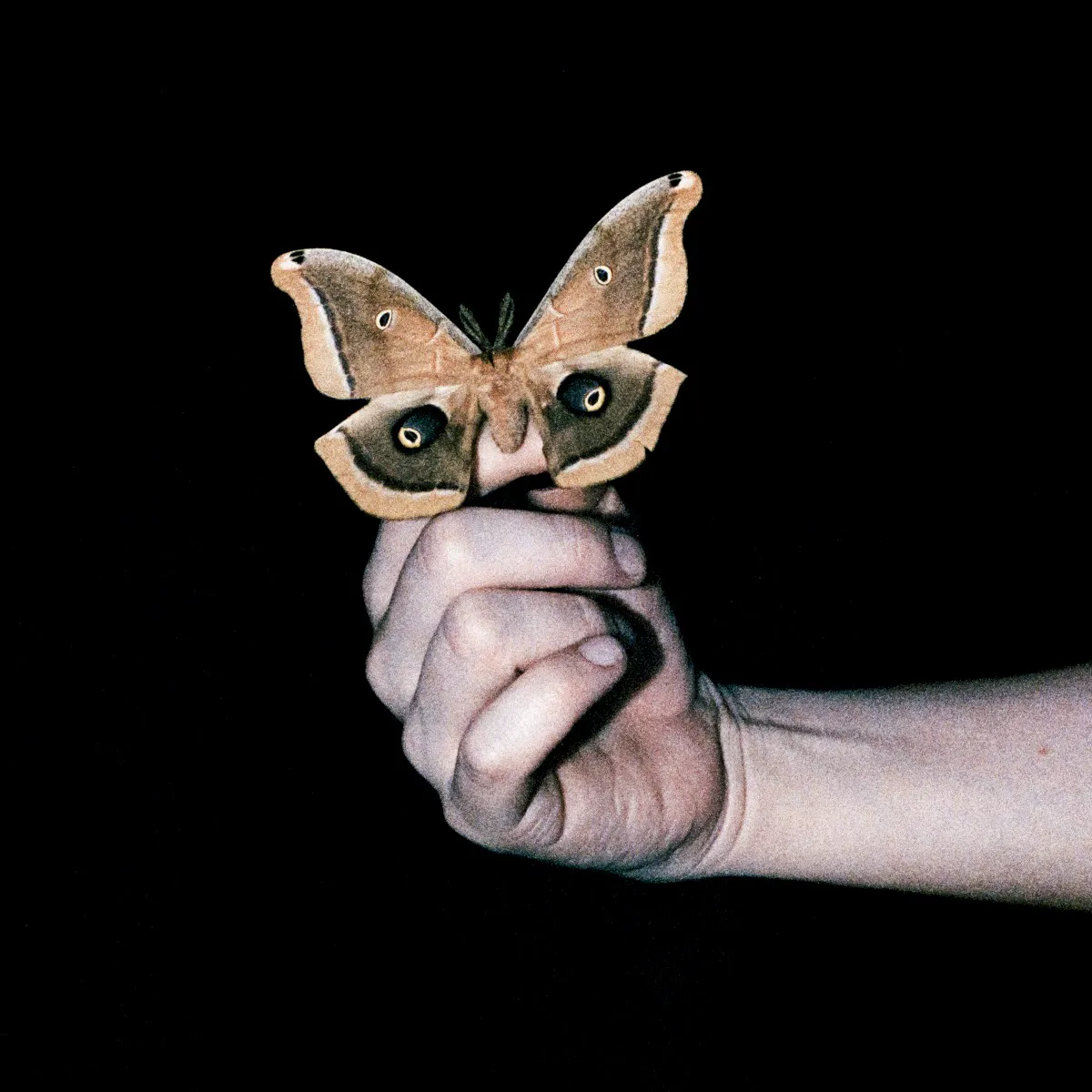 Obal alba All Systems Are Lying