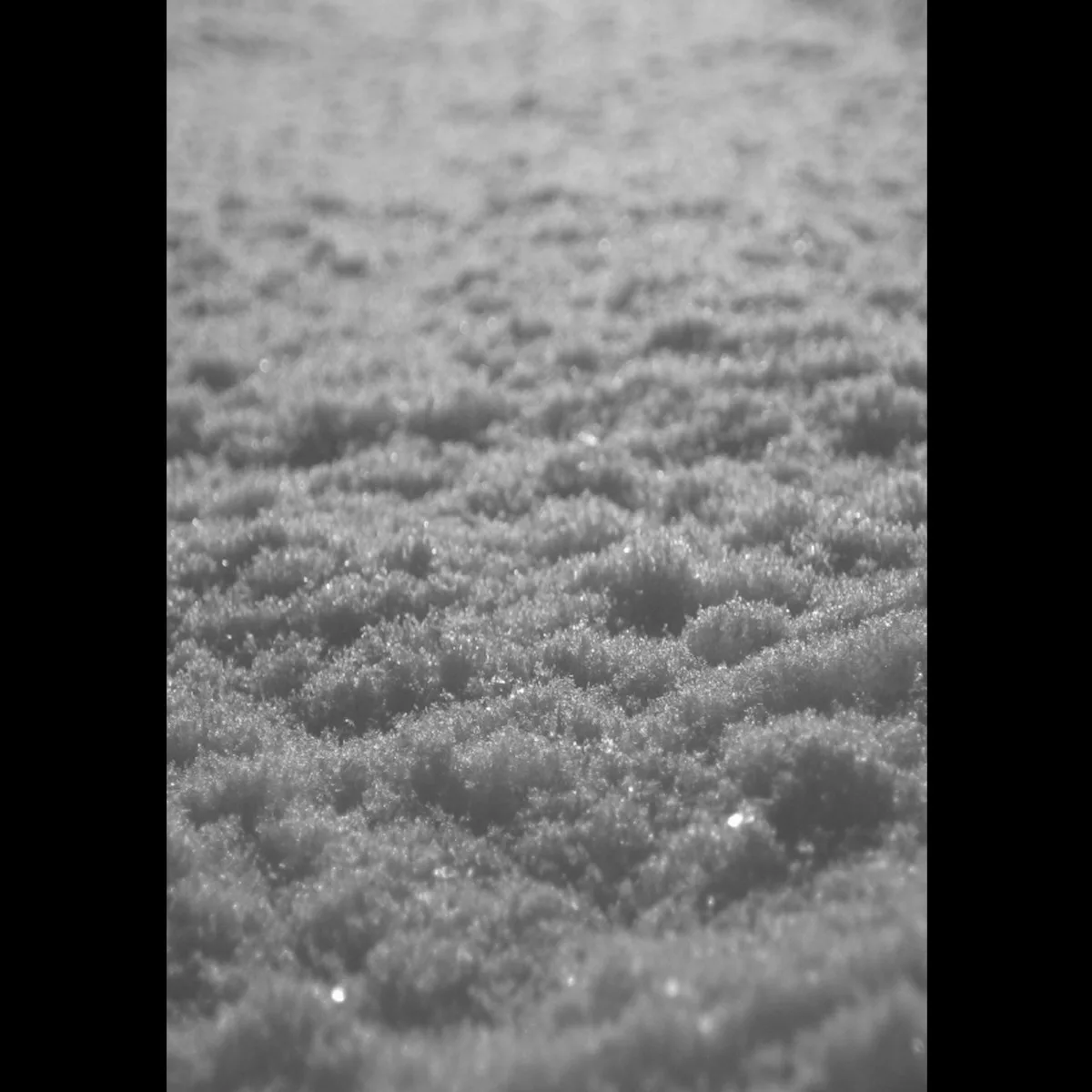 Cover of Paysage d’Hiver – Schnee