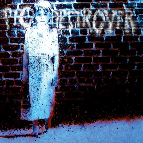 Cover of Pig Destroyer – Book Burner