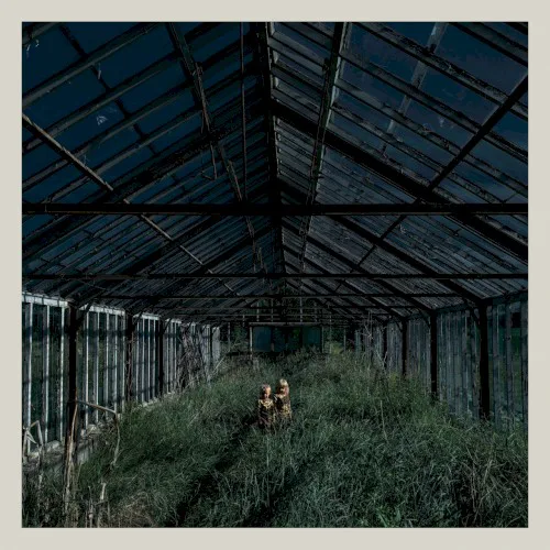Cover of Foxing – Dealer