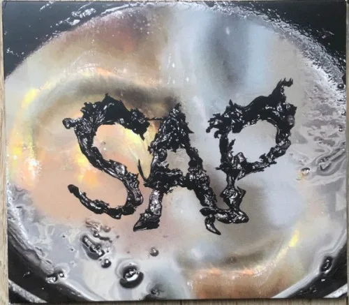 Cover of Okay Kaya – SAP